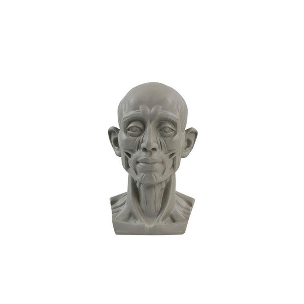 Art Plaster Portrait Teaching  - Resin Art Learning review and price